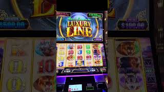 60X WIN🤩LUXURY LINE ⭐️ $16 Big Bets🔥 VERY RARE DOUBLE TRAIN 🚂 🚂 😱 LUCK ARRIVED🍀