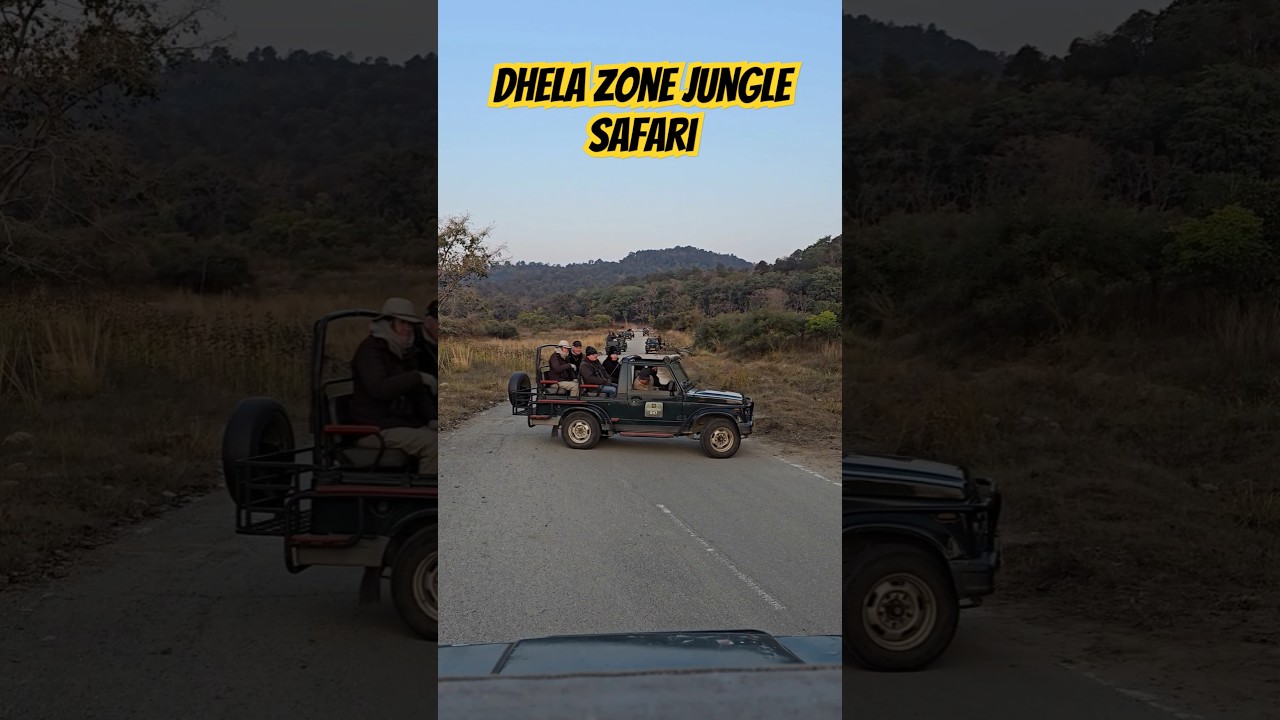 Dhela Zone Jungle Safari  / Jim Corbett National Park Jungle Safari