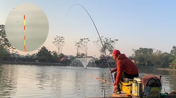 Câu Cá Chép Trong Thời Tiết Khó Thay Đổi Đột Ngột Cách Phối Mồi Chọn Đồ Cho Hiệu Quả