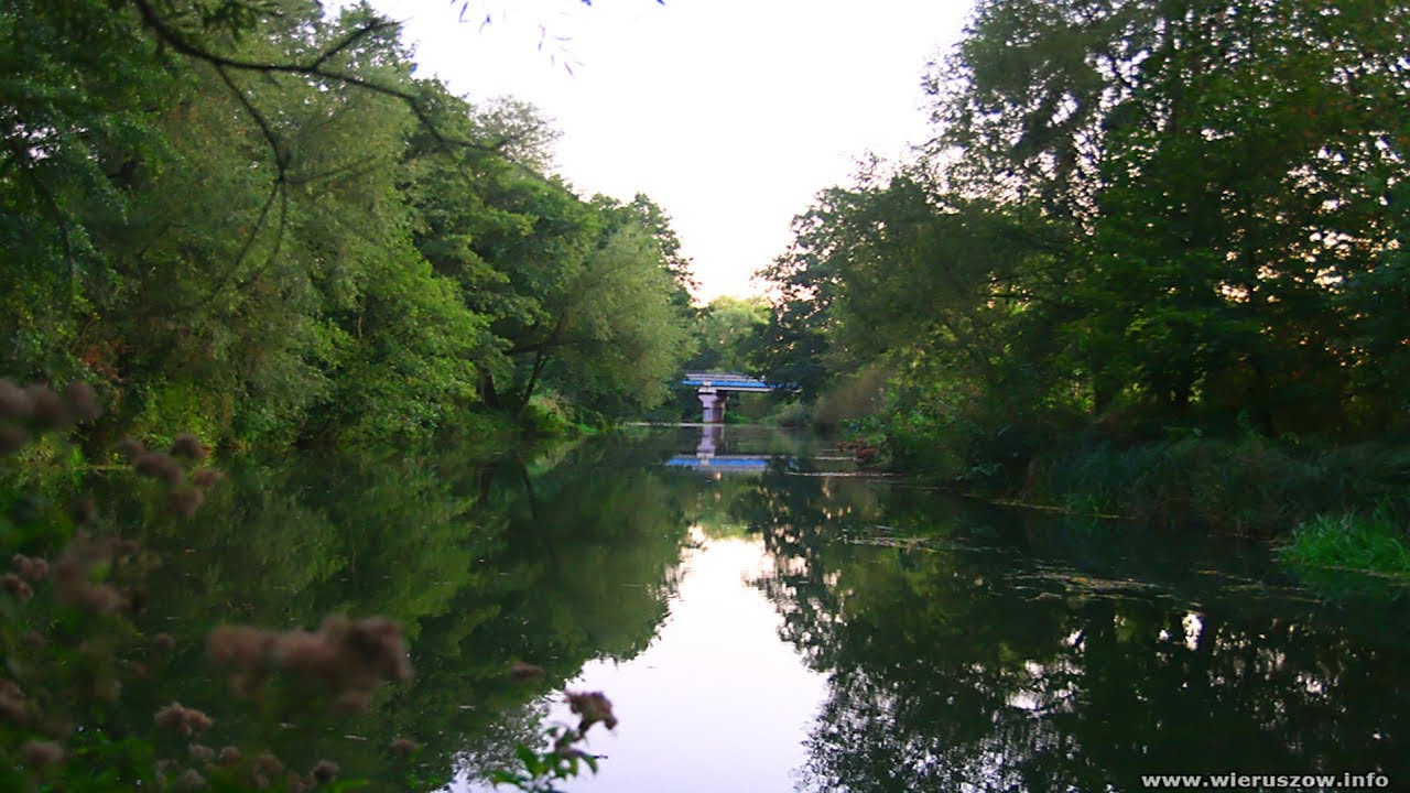 Wieruszów - rowerem wodnym po Prośnie cz.2 - Kościół, Orły, DK 8, rejon ul. Polnej