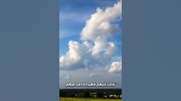 #حالات_وتس_اب //القارئ بصوت عذب وجميل//ما قلت لهم إلا ما أمرتني به أن اعبدوا الله ربي وربكم