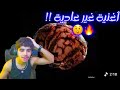 SKORP DBS REACTION RAOUF BELKACMI 