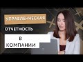 Управленческая отчетность в компании