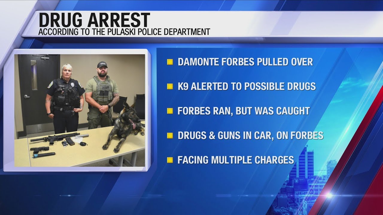 Driver in Pulaski arrested on gun, drug charges during traffic stop ...
