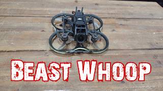 Simple Man - Betafpv Pavo20 Pro