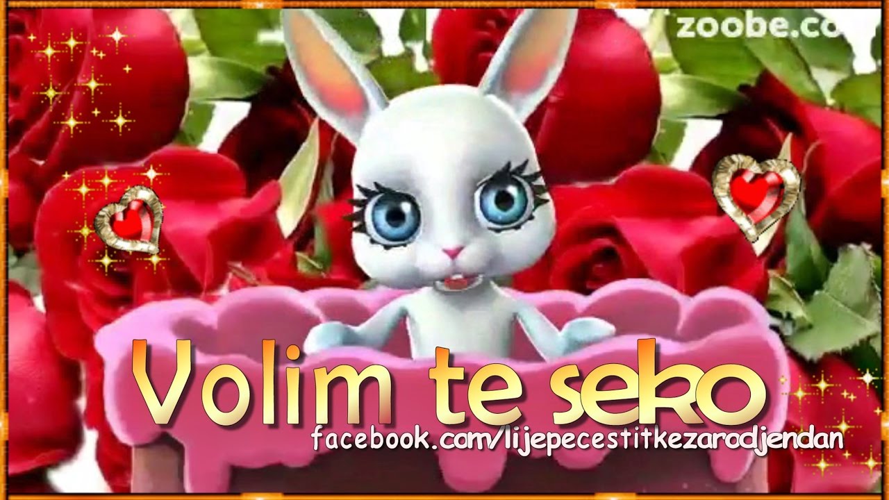 Volim Te Seko Moja YouTube volim-te-seko-moja-youtube