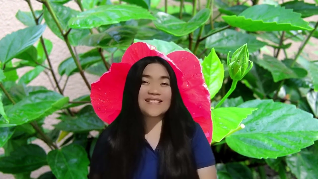 In Heaven's Eyes| Sandi Patty | Jen Sarte (Cover)