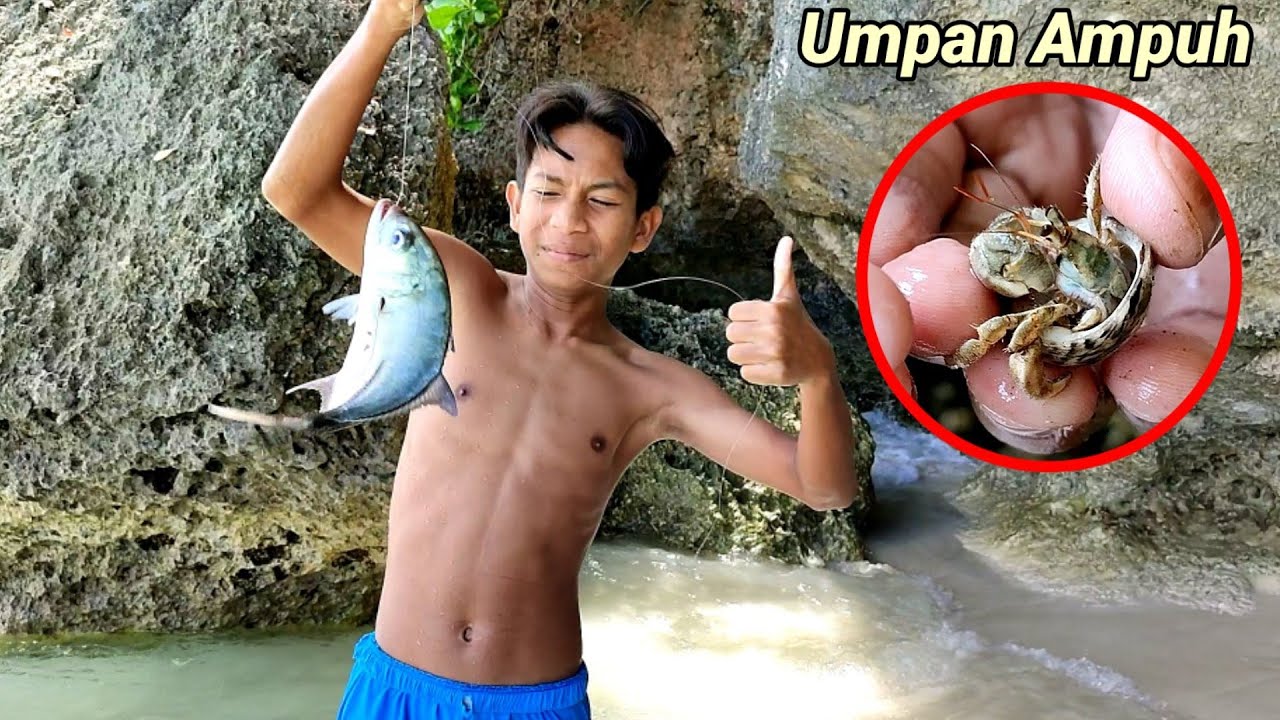 UMPAN JITU SEMUA JENIS IKAN DISIKAT 😱 dijamin strike bertubi-tubi
