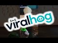 Albino Pet Rat Cleans off Paws on Keyboard || ViralHog