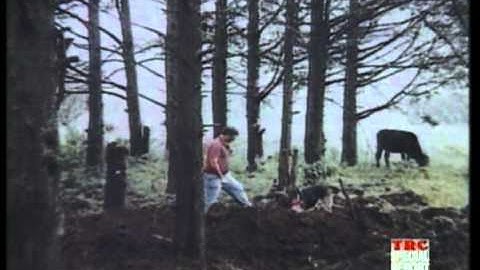 TRC Episode 39, Part 02