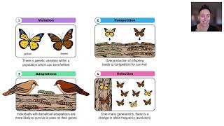 Mechanisms of evolution (Part 2)