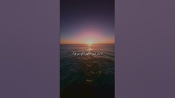 تلاوة هادئة تريح القلب والعقل للشيخ العيون الكوشي | سورة ابراهيم مكتوبة | بجودة عالية | High Quality