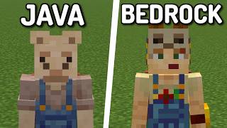 Which Version of Minecraft is BETTER (Java VS Bedrock)