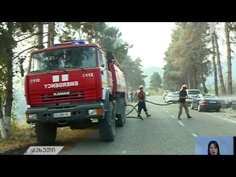 სოფელ მაწიმში ხანძარი ლოკალიზებულია