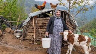 Morning Routine With Bibi 🏔️🐓 Traditional Village Life