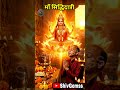 Navratri Day 9 | माँ सिद्धिदात्री की कृपा 🙏 | Vrat, Mantra, Bhog & Story” #shorts #navratri #viral