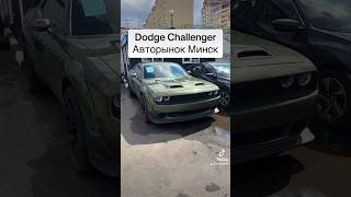 Dodge Challenger Цены в Минске авторынок