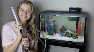 How to Clean Your Fish Tank