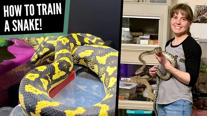 How to Train Your Snake | Lori Torrini, CPDT-KA, A.A.S. - The Animals at Home Podcast