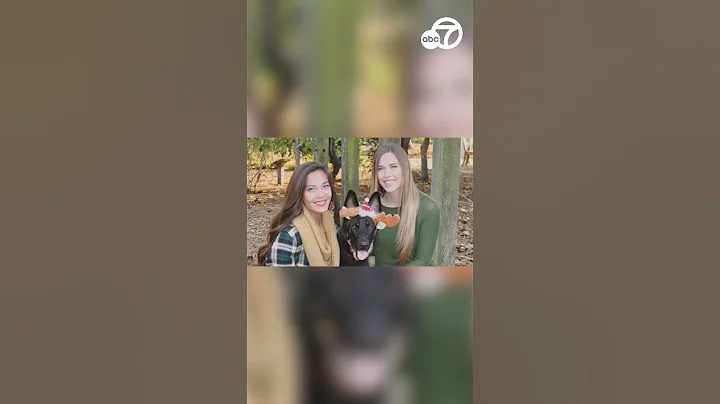 Newlyweds from popular Netflix show thrilled by Gov. Gavin Newsom encounter outside SF City Hall