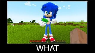 Minecraft wait what meme part 212 realistic minecraft Sonic the hedgehog