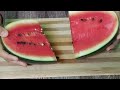 Watermelon juice sushilarrannaghar sushilar food