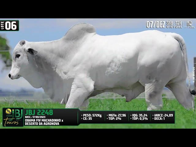 LOTE 06   JBJ 2248