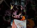 Black Forest and Shiva #motivation #bhaktishorts #shorts #ullulaxmimantra #shortsfeed