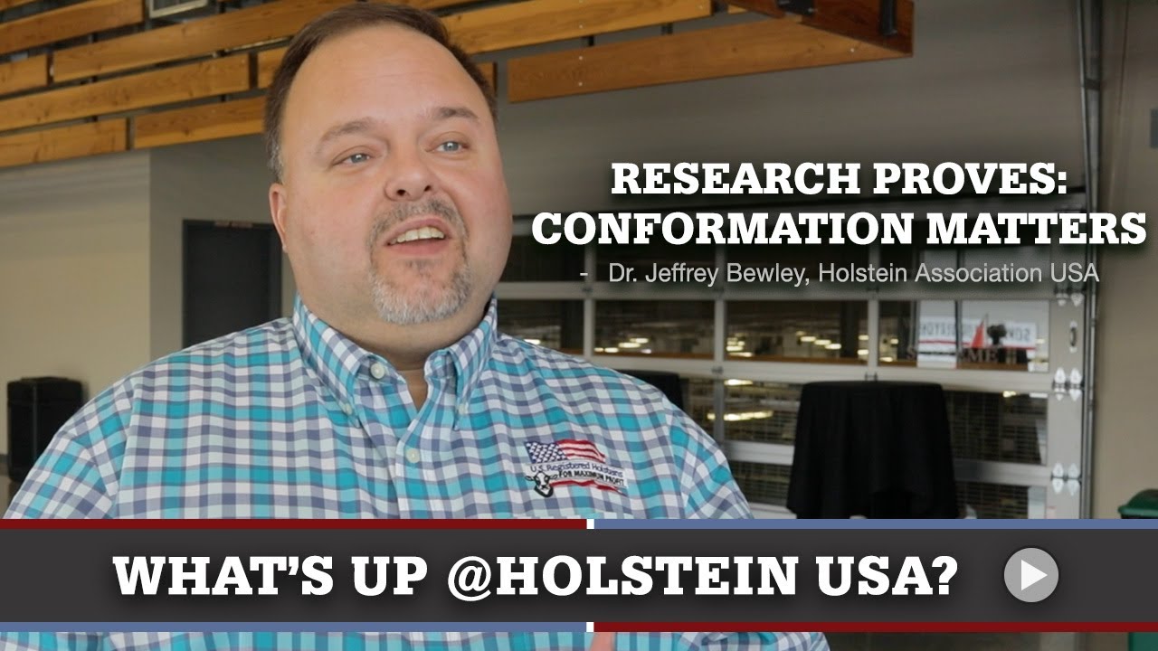 What's Up at Holstein USA: Conformation Matters