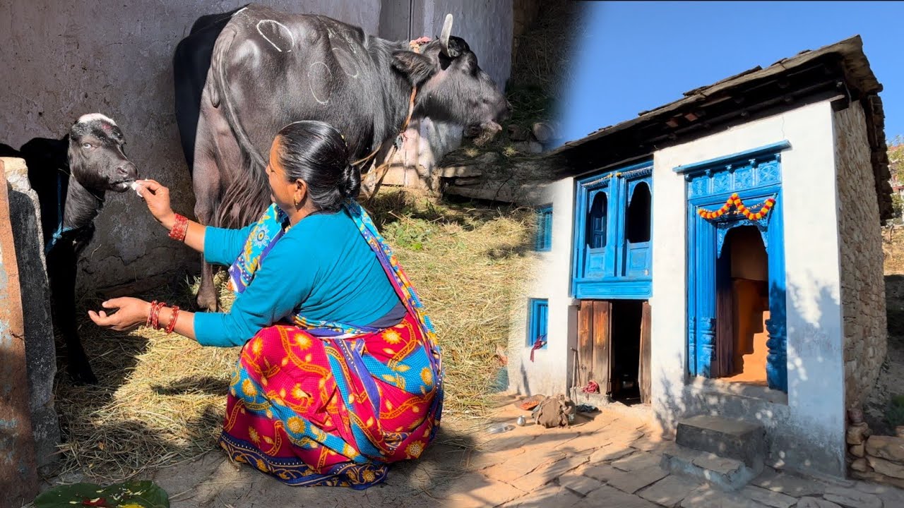 भैंस के बच्चे का नामकरण || Village Vlog || Bageshwar || Uttarakhand