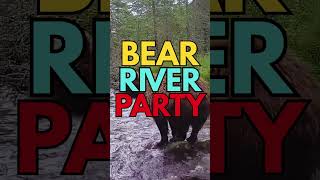 Grizzly Bears River Party @publiclybuzzed