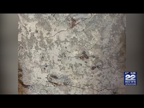 Spicydrea: Privacy's Crumbling Foundation Exposed