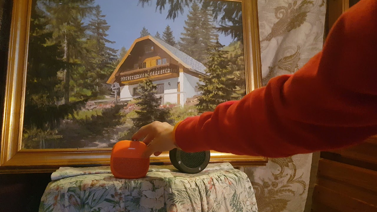 Bose Soundlink Micro vs Minirig 3