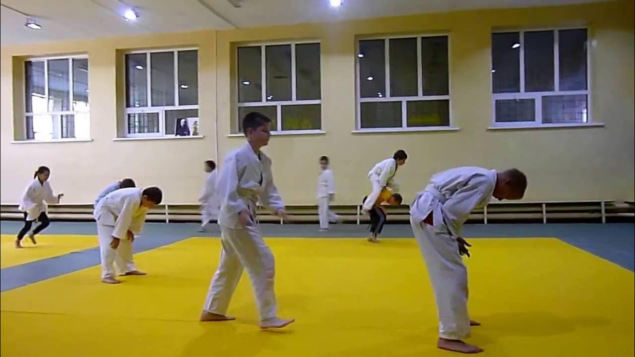 Дзюдо акробатика
