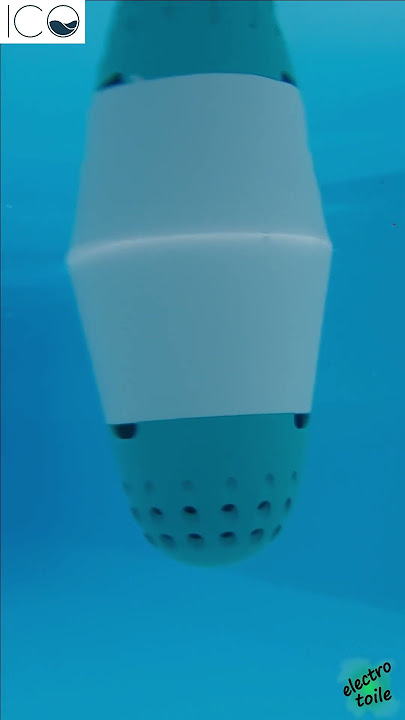 Aspirateur spa Spa Vac Volt FX-8 Li - Distripool - Water Tech