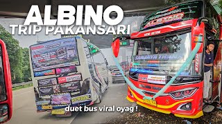 [ SUPER SERU KALO NAIK UNIT SATU INI ! ] BERGOYANG BERSAMA ALBINO DI PAKANSARI RACE ! Trip Part 2