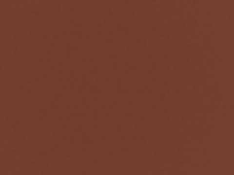 Devolve Moço Ana Cañas 