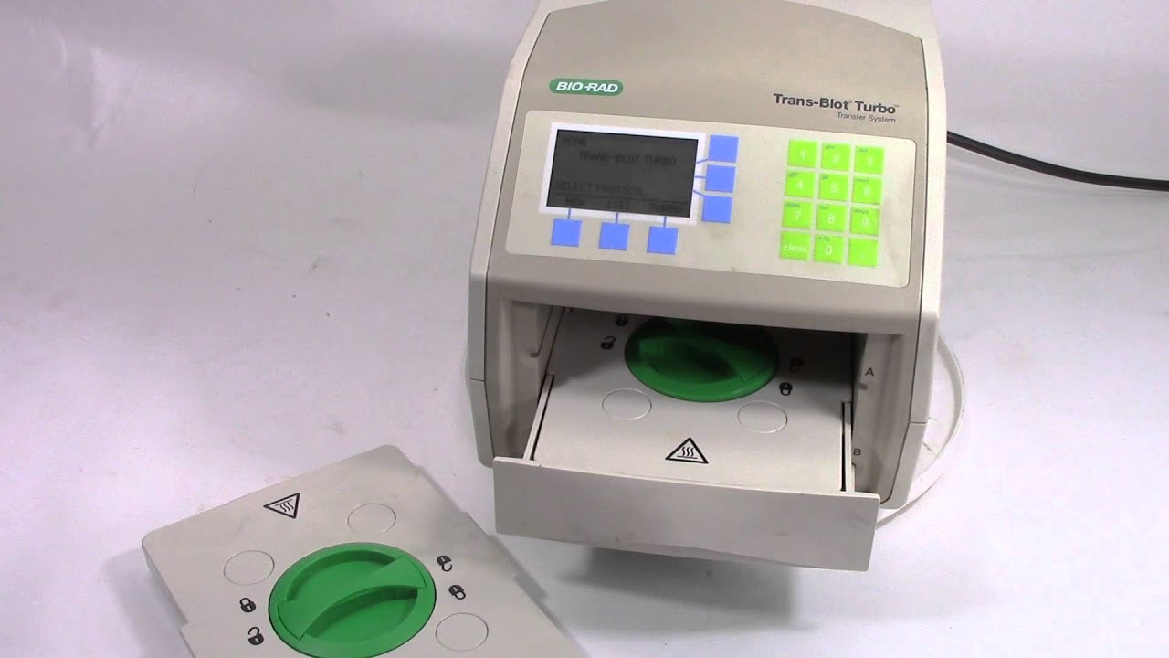 Already Auctioned Used Bio-rad Trans-Blot Turbo System - YouTube