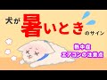 犬が暑い時のサイン｜熱中症やエアコンの設定温度は？