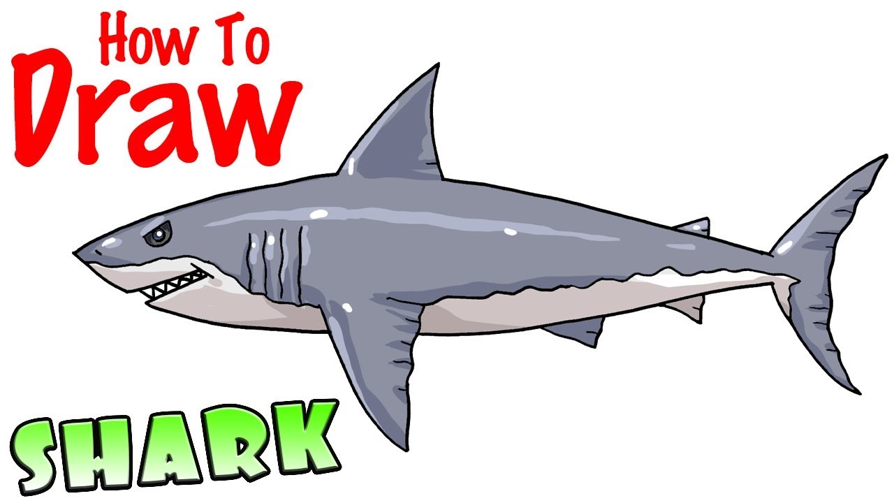 How to Draw a Shark the Easy Way - YouTube