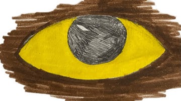 Nova introdução do canal!