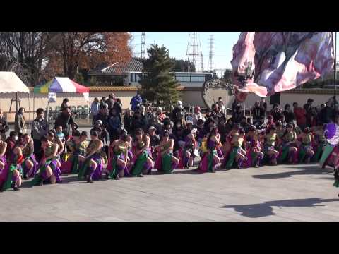 疾風乱舞 2013 飛天夢想 ファイナルよさこい奉納演舞