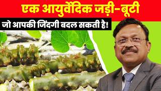 1 आयुर्वेदिक जड़ी-बूटी जो आपकी जिंदगी बदल सकती है! | Amazing Health Benefits of Giloy | SAAOL screenshot 2