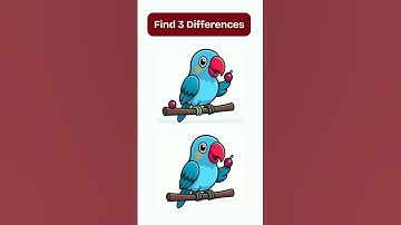 Only the Sharpest Can Find the Hidden Differences!