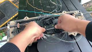 Optical Fiber Coil