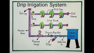 Drip irrigation system Model