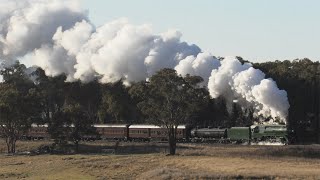 Australian steam locomotive 3801 - Tumulla bank shuttles - June 2021