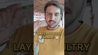 LAYER POULTRY FARMING BUSINESS! Construction work! Daily 🥚 egg rate! feed formulation! subscribe