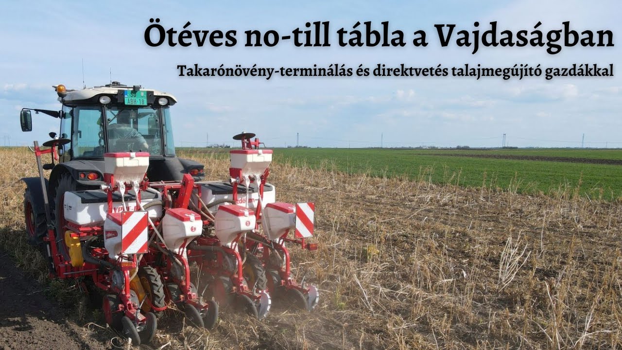 Ötéves no-till tábla a Vajdaságban - Takarónövény-terminálás és direktvetés talajmegújító gazdákkal