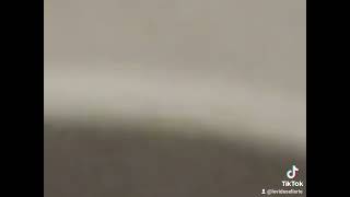 Nettoyer les scratch plein des poils et de paille. screenshot 5